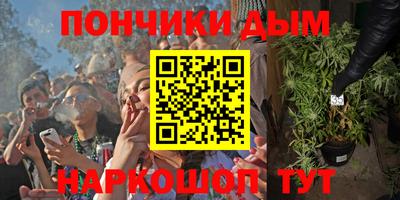 хмурый Жуковский